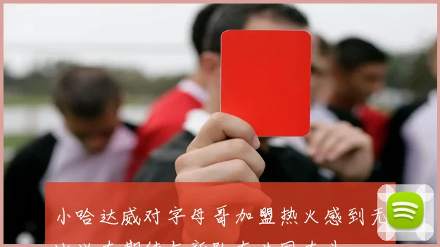 小哈达威对字母哥加盟热火感到无比兴奋期待与新队友共同奋斗