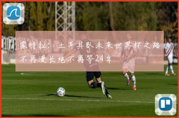 蒙特拉：土耳其队未来世界杯之路不再漫长绝不再等24年
